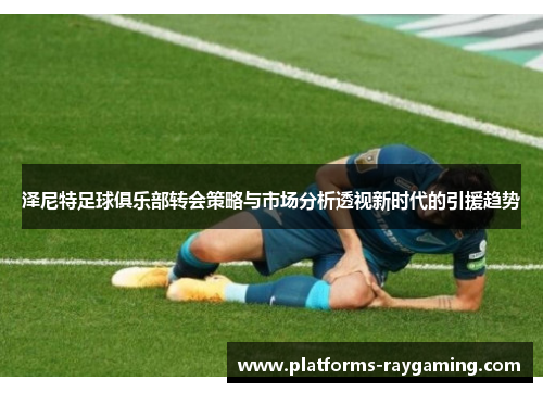 泽尼特足球俱乐部转会策略与市场分析透视新时代的引援趋势