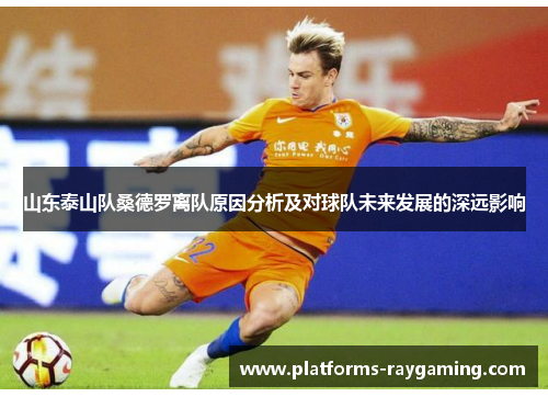 山东泰山队桑德罗离队原因分析及对球队未来发展的深远影响