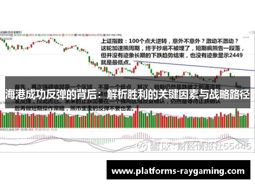 海港成功反弹的背后:解析胜利的关键因素与战略路径 海港成功反弹的背后:解析胜利的关键因素与战略路径