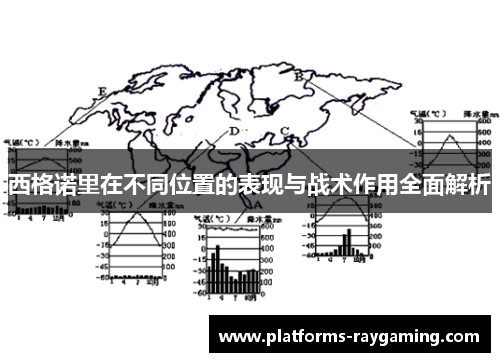 西格诺里在不同位置的表现与战术作用全面解析