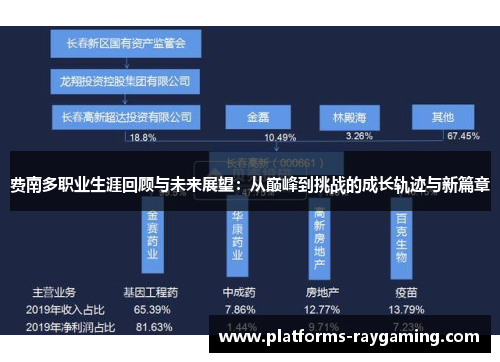费南多职业生涯回顾与未来展望：从巅峰到挑战的成长轨迹与新篇章