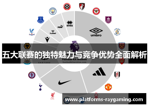 五大联赛的独特魅力与竞争优势全面解析